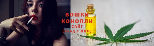 дживик Осташков