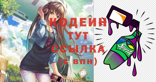 гашик Абаза
