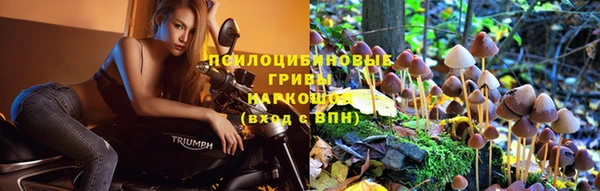 гашишное масло Осинники