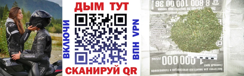 Конопля план Шилка